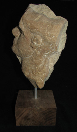 "K&ouml;nigskinder"