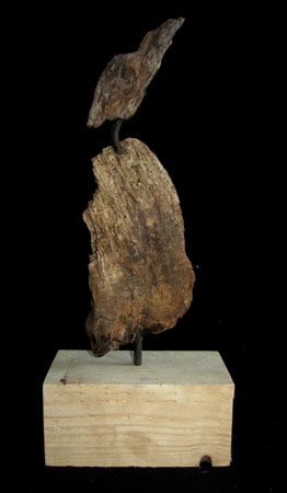 "Seevogel II"