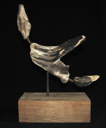 "Seevogel I "