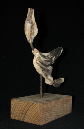 "Seevogel I "