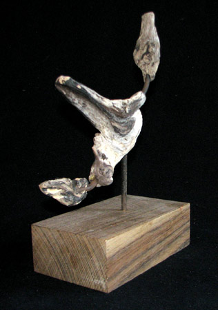 "Seevogel I "
